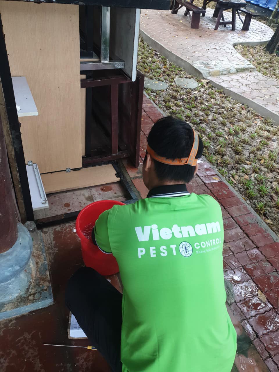 Diệt mối tại Ecopark 3 314890376 463757989074753 7667999452972408416 n