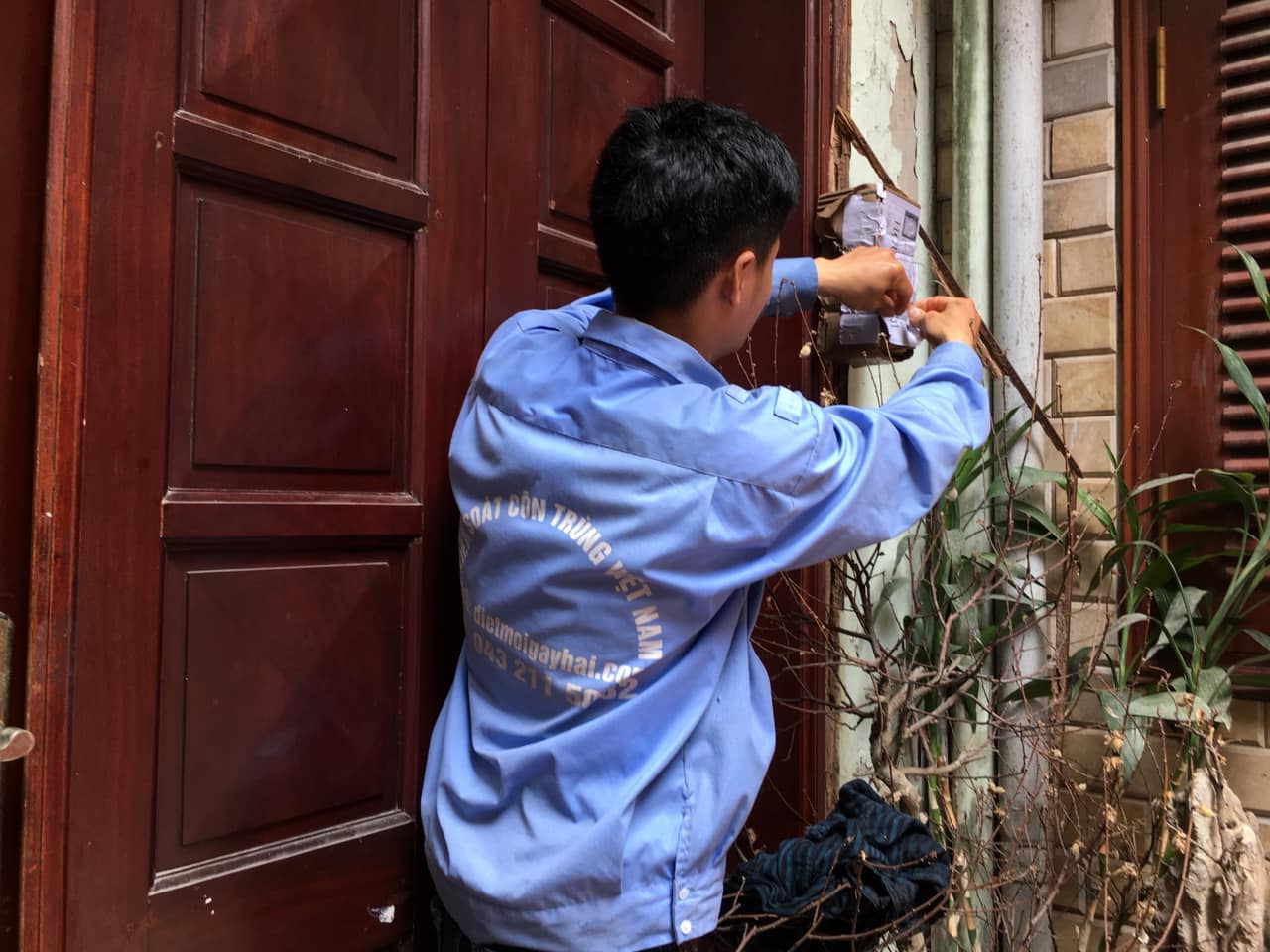 Dịch vụ diệt mối uy tín tại Quận Hoàng Mai