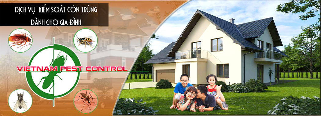 Diệt mối tại Bắc Ninh 3 59