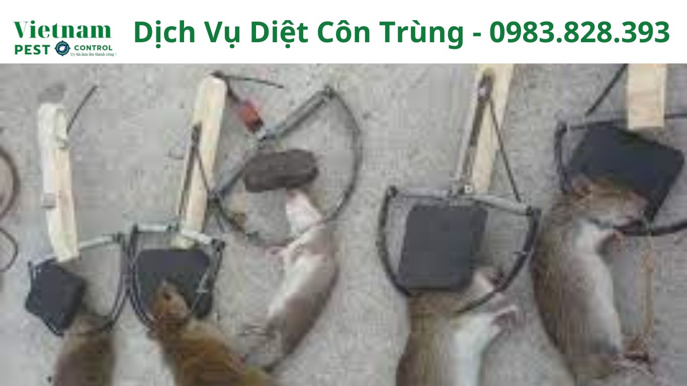 Dich Vu Diet Con Trung 0983.828.393 1
