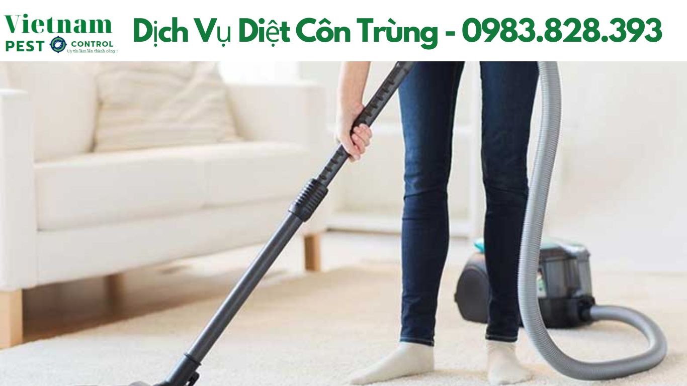 Diệt Chuột Tại Nhà - Gọi ngay 0815451234