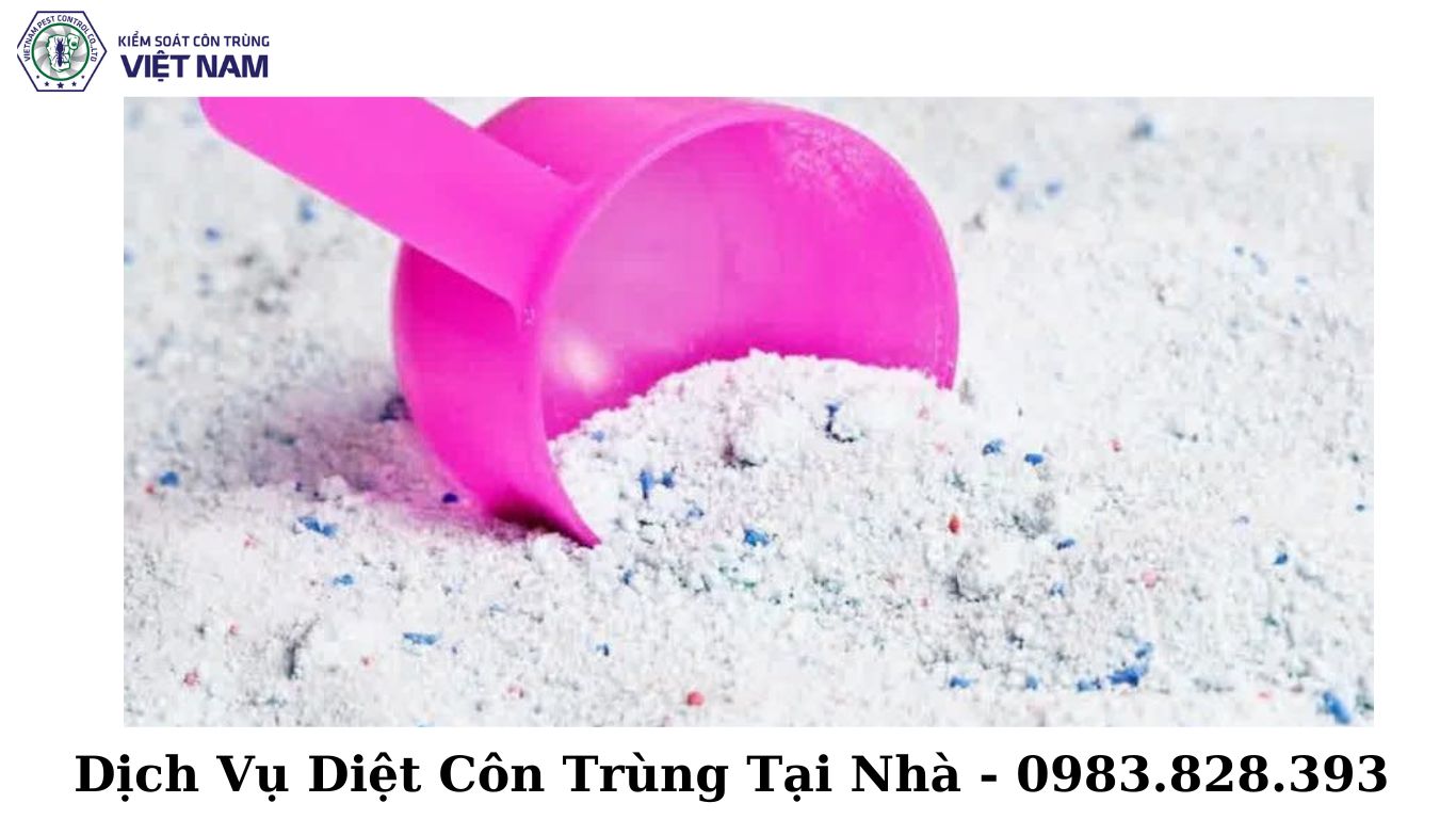 Kiểm Soát Diệt Chuột Tại Nhà