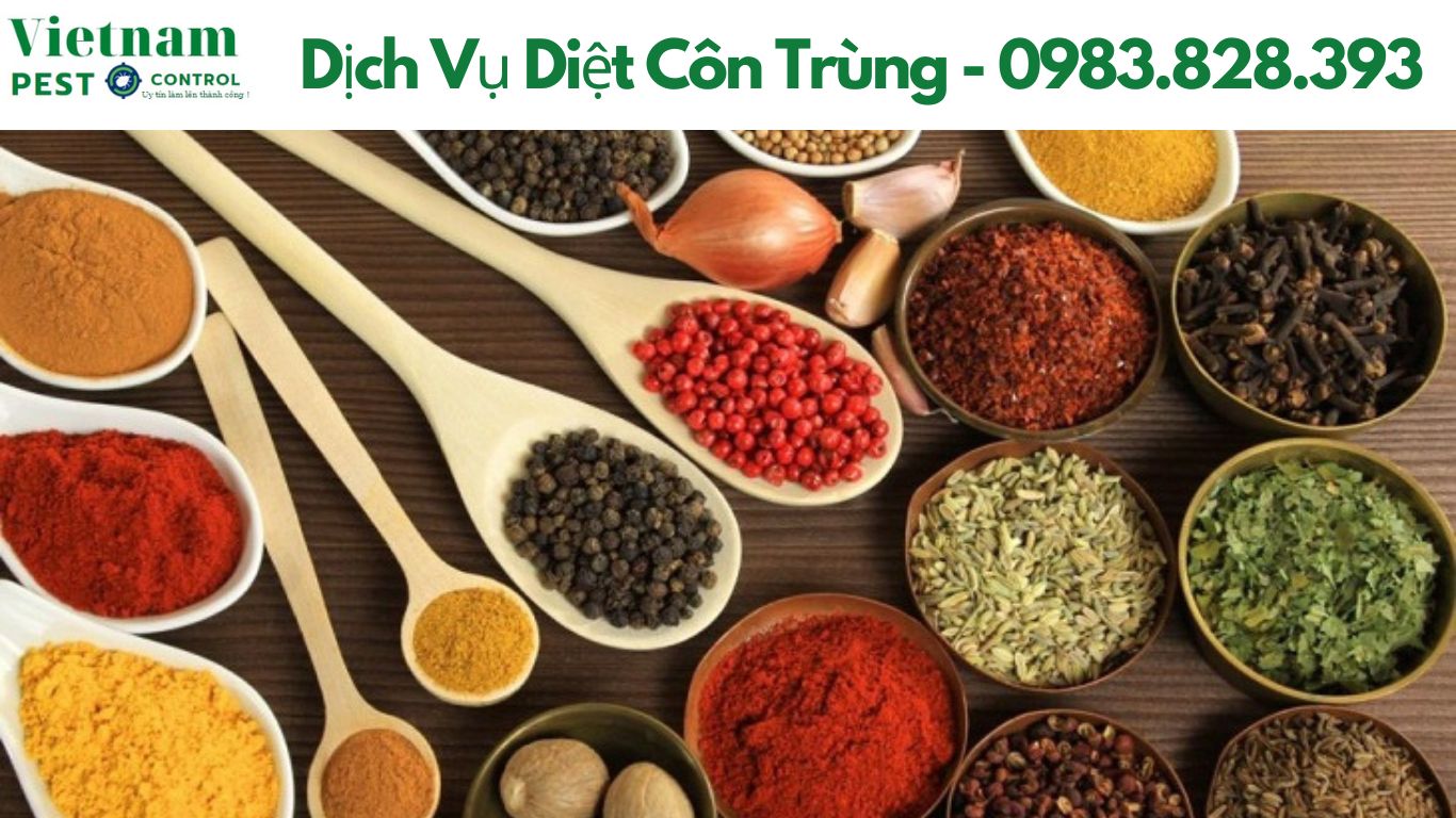 Kiểm Soát Diệt Chuột Tại Nhà
