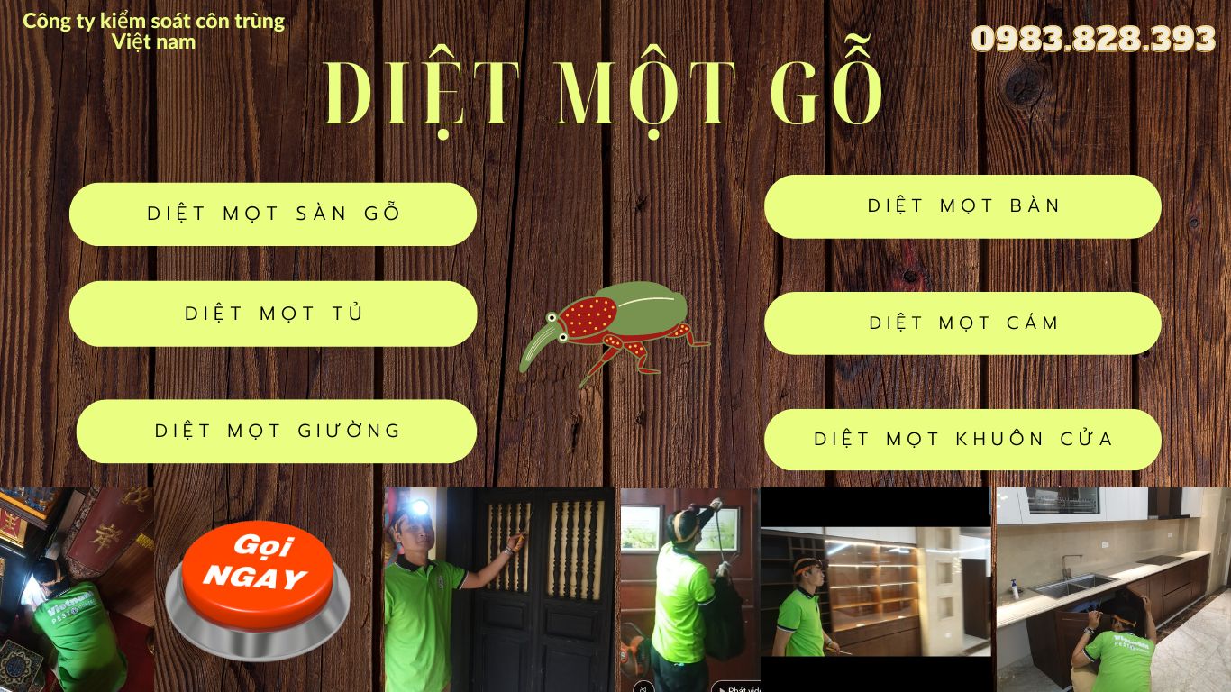 Diệt mọt gỗ