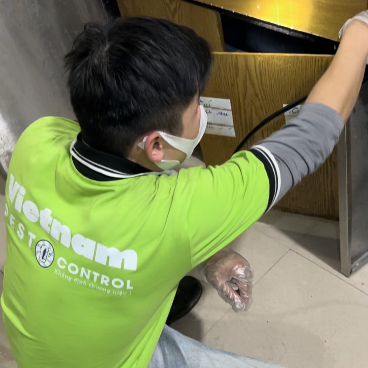 nhân viên đang phun thuốc diệt, ngừa gián Đức quay lại