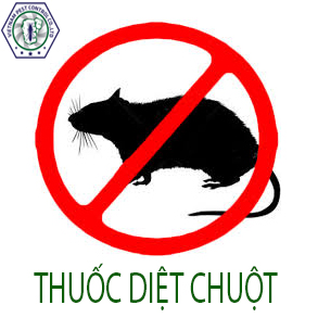 Khảo sát diệt và kiểm soát chuột