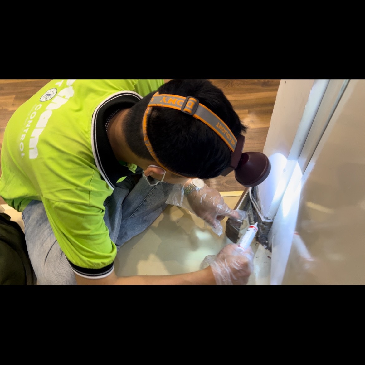 nhân viên đặt bả dụ gián đức