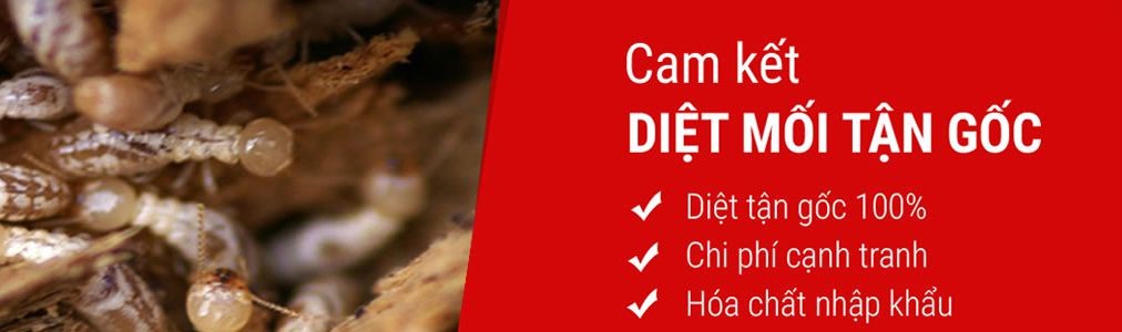diet moi quan long bien1 2
