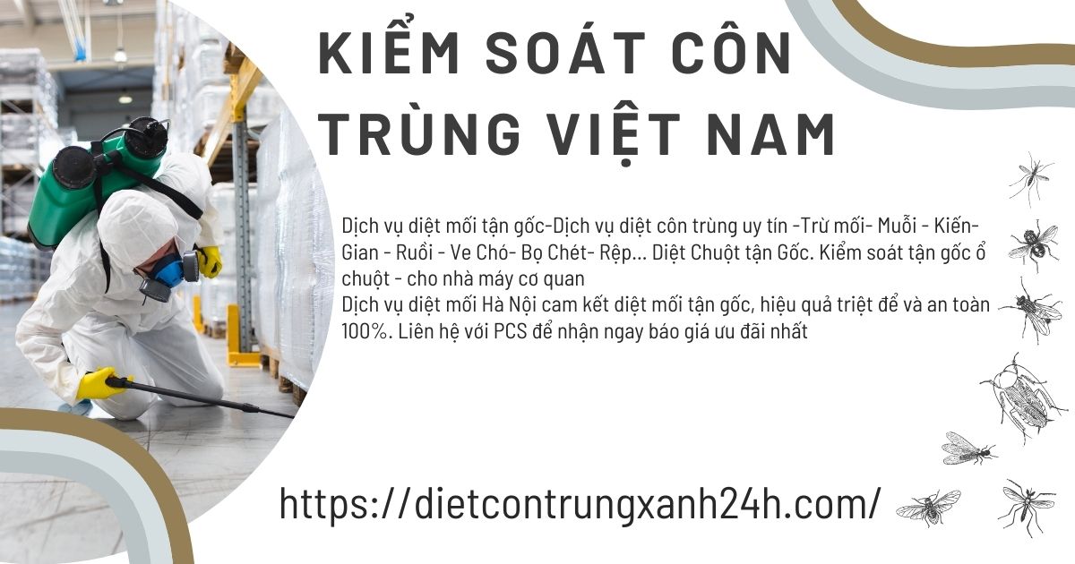 Diet moi tan goc bao gia