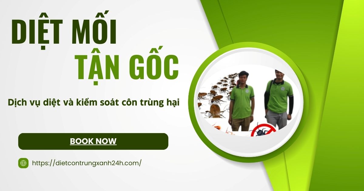 Diet moi tan goc nhanh gon