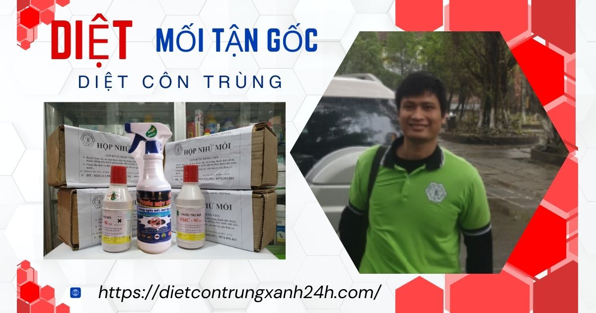 Diệt mối tận gốc