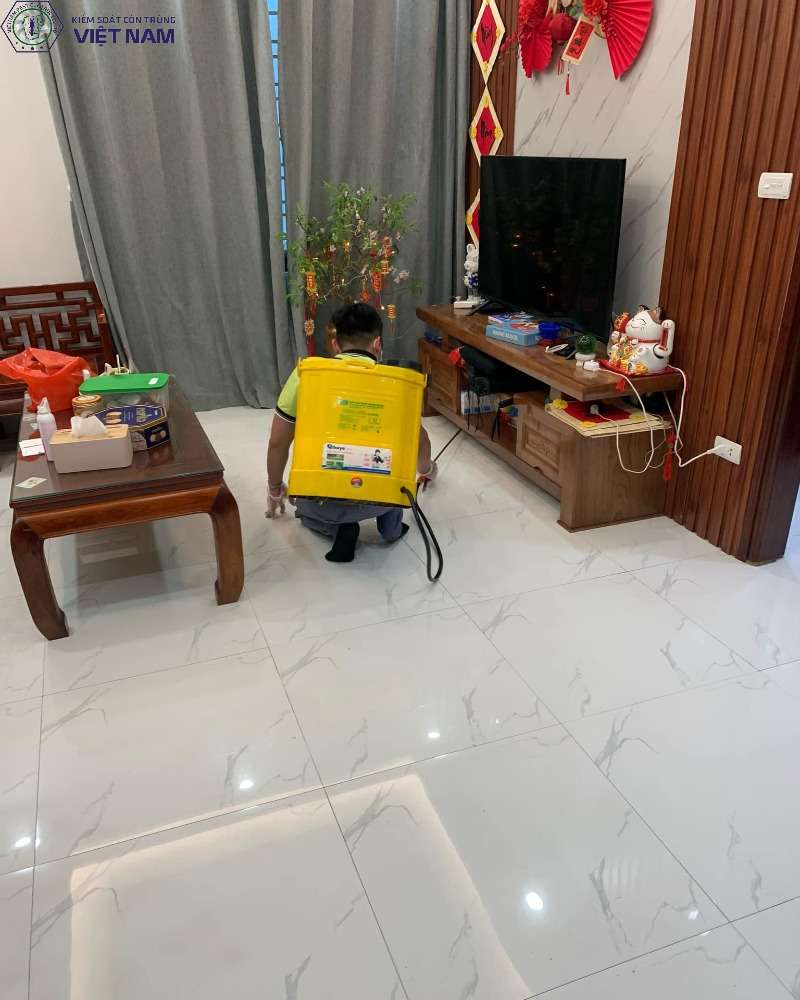 Các khu vực diệt mối tại quận Đống Đa