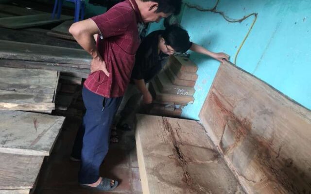 Các nguyên nhân cần diệt mối tại quận Hai Bà Trưng tận gốc