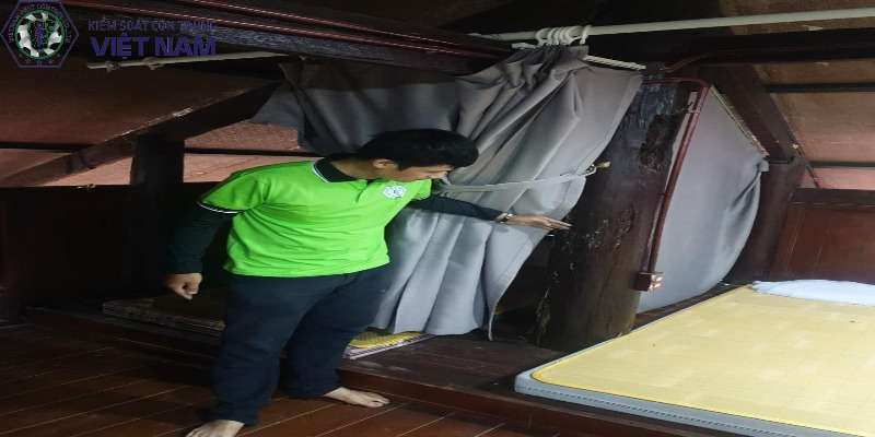 Các cách ngăn chặn mối quay trở lại