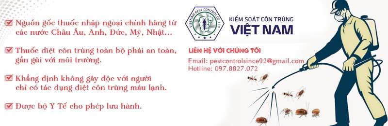 Vietnam Pest Control là công ty diệt mối tại Hà Nội uy tín hàng đầu