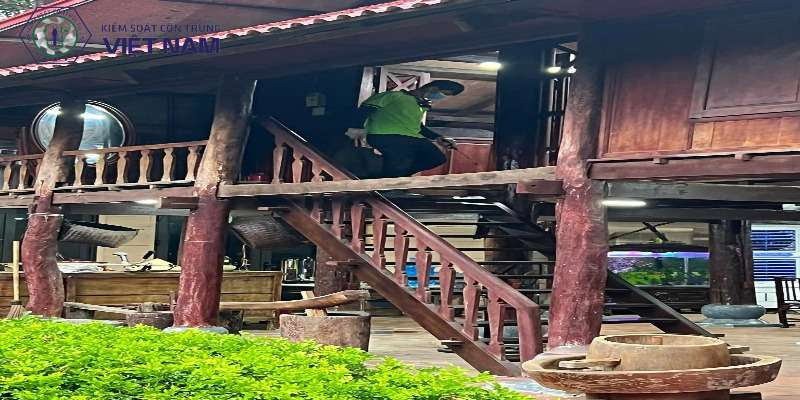 Dịch vụ diệt mối tại quận Tây Hồ