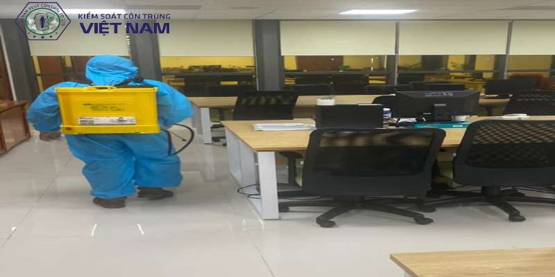 Phương pháp diệt mối tại Tây Hồ
