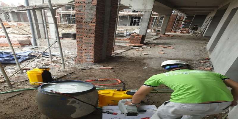 Vietnam Pest Control áp dụng các phương pháp diệt mối sinh học an toàn