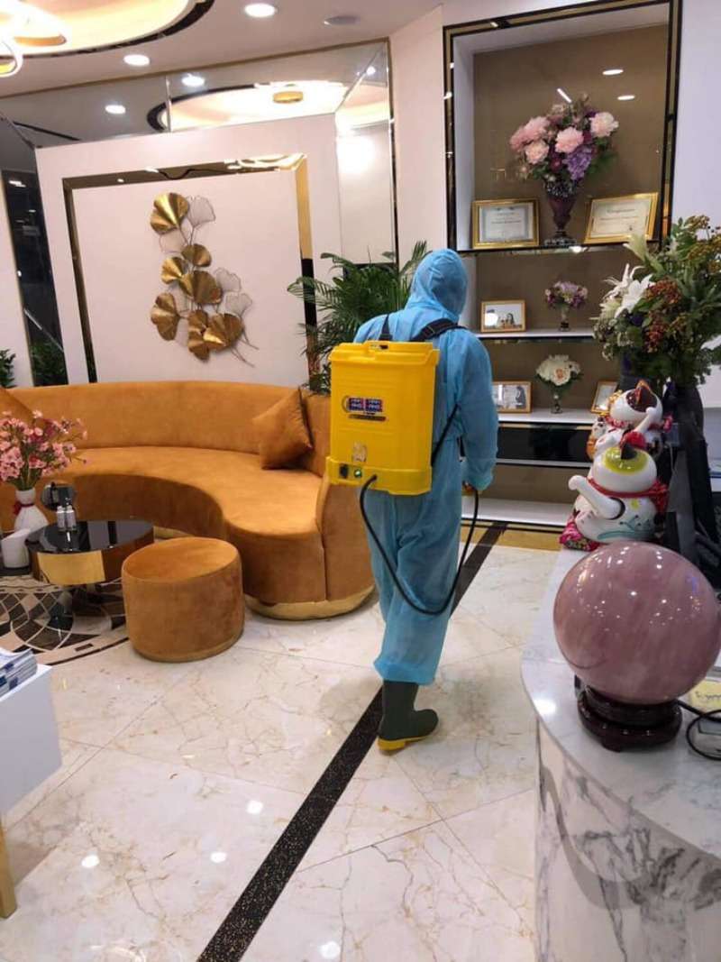 Quy trình diệt mối tại Vietnam Pest Control