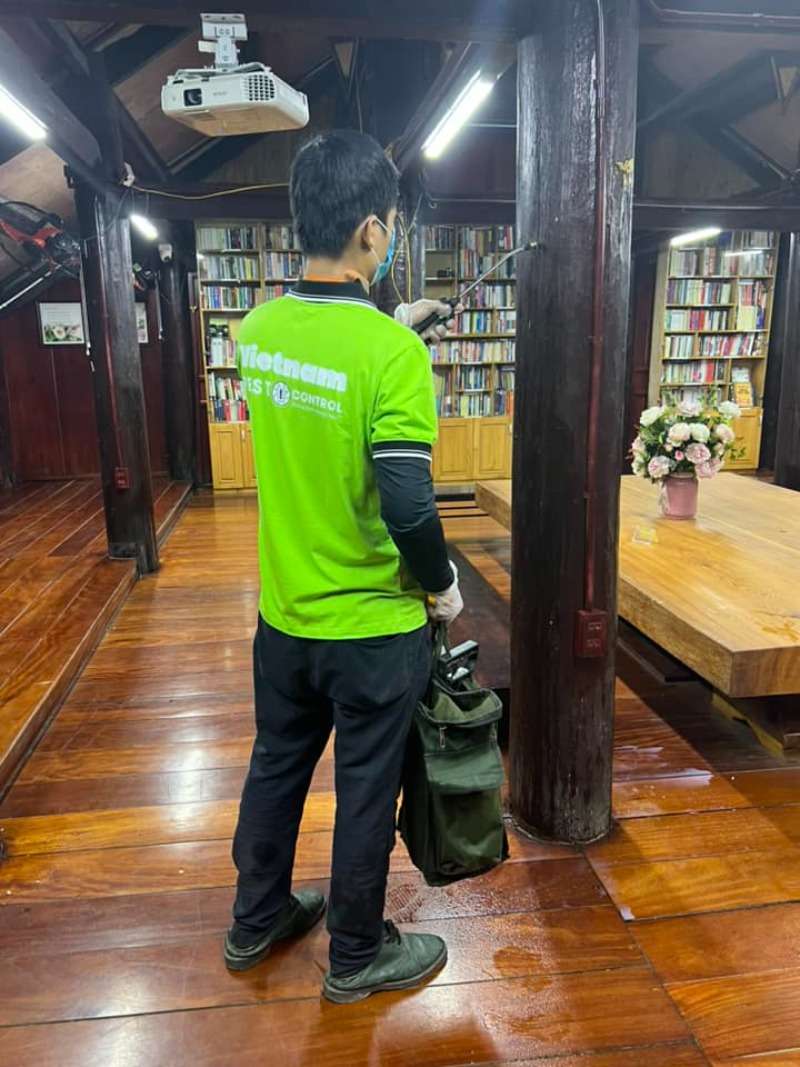Vietnam Pest Control là công ty diệt mối tại quận Hai Bà Trưng uy tín