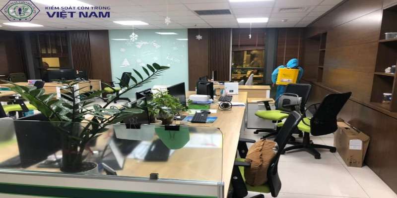 Tại sao quý khách nên chọn dịch vụ diệt mối tại Vietnam Pest Control