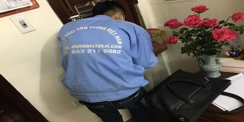 Dịch vụ diệt mối tại quận Hà Đông có vai trò quan trọng
