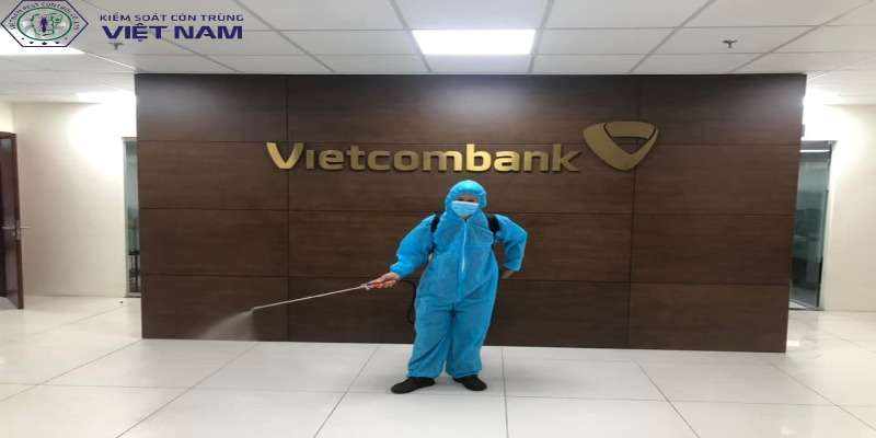 Vietnam Pest Control diệt mối ở quận Tây Hồ uy tín