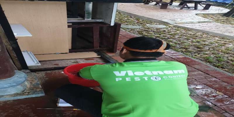 Đánh giá dịch vụ diệt mối tại quận Bắc Từ Liêm
