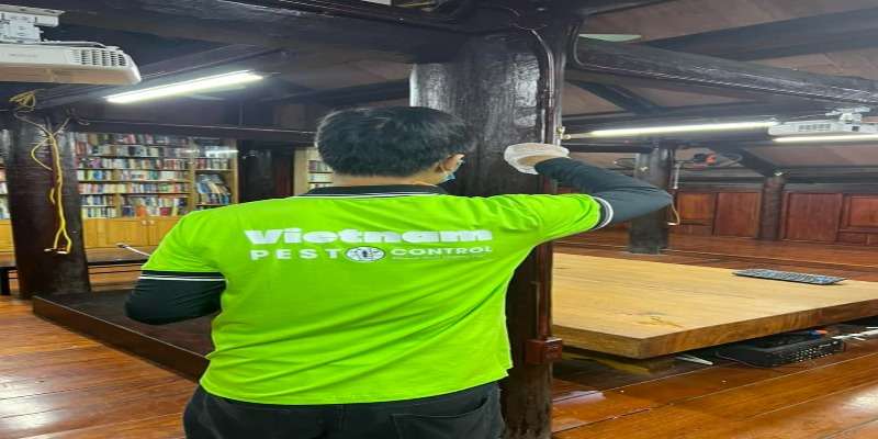 Dịch vụ diệt mối tại quận Bắc Từ Liêm an toàn, uy tín