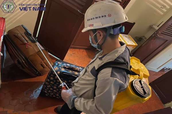 Dịch vụ diệt muỗi uy tín tại Vietnam Pest Control
