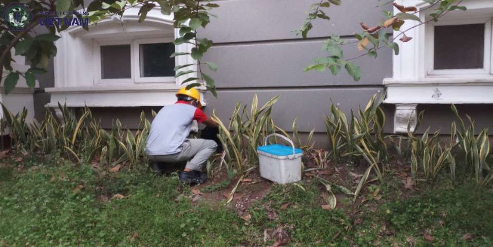 Lợi Ích Của Dịch Vụ Diệt Chuột Chuyên Nghiệp 