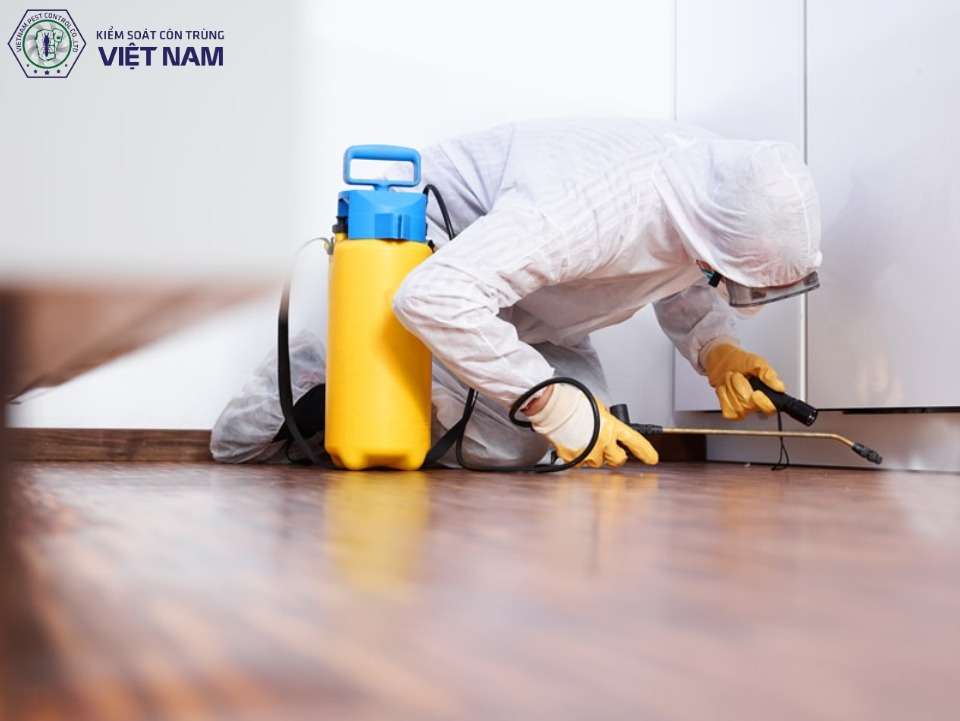 Lợi ích của dịch vụ diệt ruồi chuyên nghiệp tại Việt Nam Pest Control