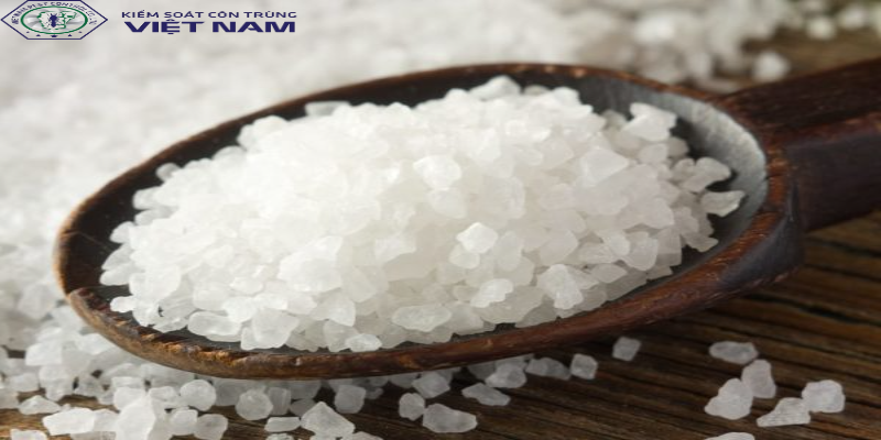 Muối là nguyên liệu phổ biến trong mỗi gia đình