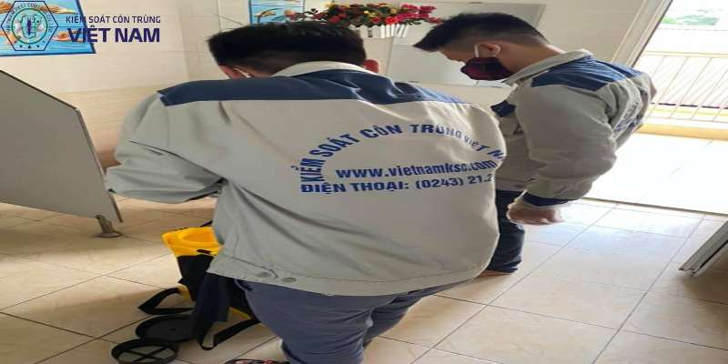 Phương pháp diệt mối tại nhà tại Vietnam Pest Control