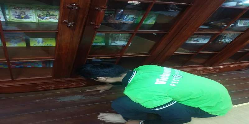 Một số phương pháp phòng chống mối