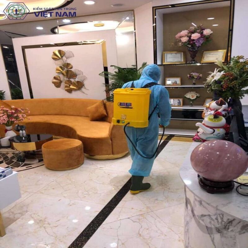 Các bước diệt muỗi tại Vietnam Pest Control