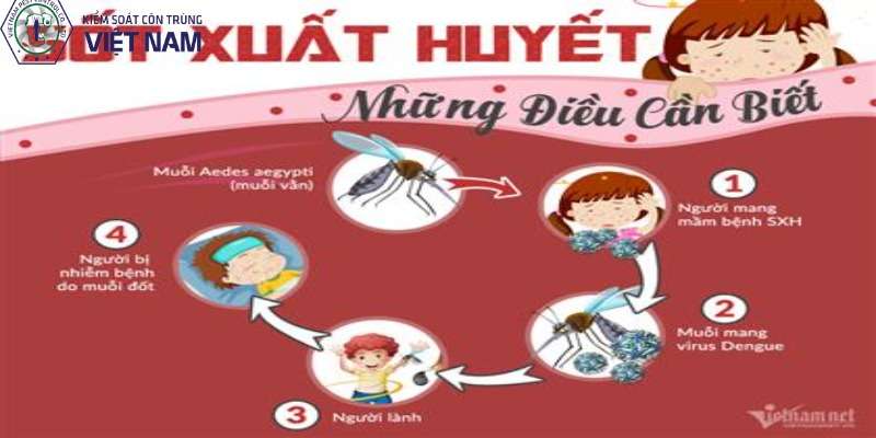 Sốt xuất huyết là gì?