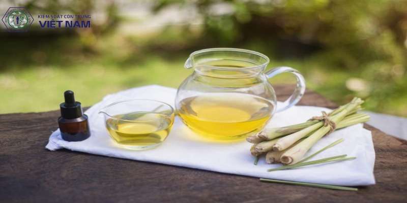 Sử dụng tinh dầu phòng chống muỗi