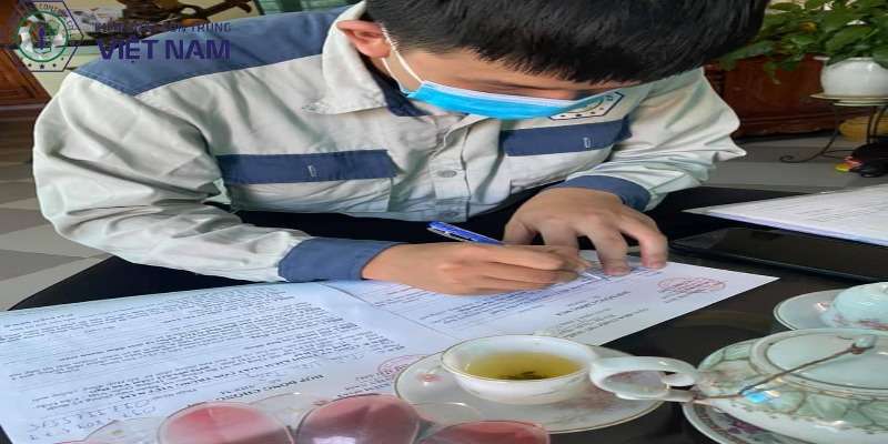 Vietnam Pest Control - Công ty cung cấp dịch vụ diệt mối tại nhà uy tín