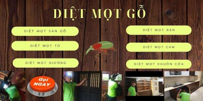 Pest Control cung cấp dịch vụ diệt mọt chất lượng