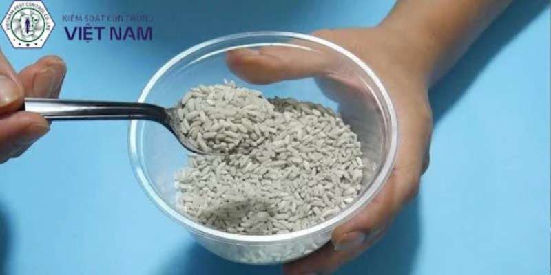 Bẫy chuột bằng xi măng và gạo
