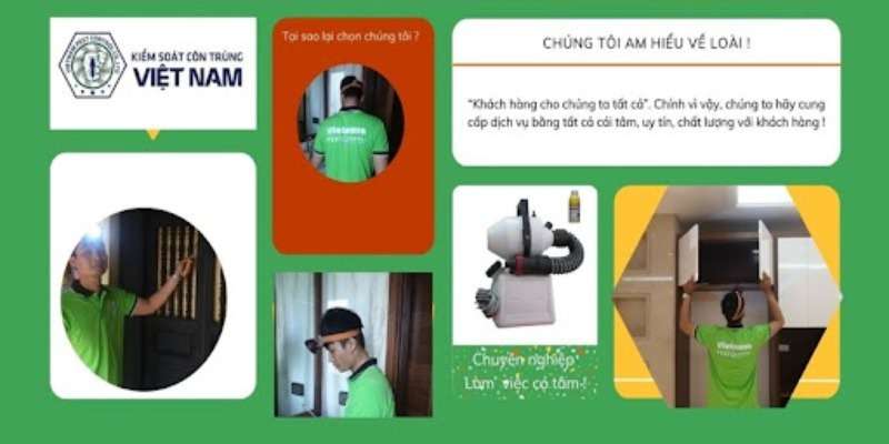 Lý do dịch vụ diệt mọt của Pest Control được tin tưởng