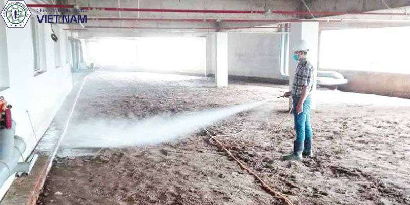 Dịch vụ phòng chống mối công trình và tầm quan trọng