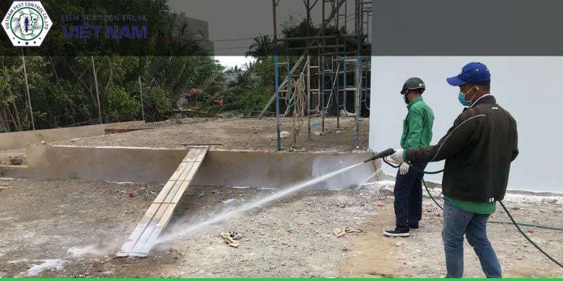 Dịch vụ của Vietnam Pest Control cam kết những gì?