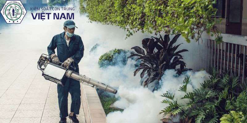 Dịch vụ phun thuốc diệt muỗi tại quận Long Biên giá tốt