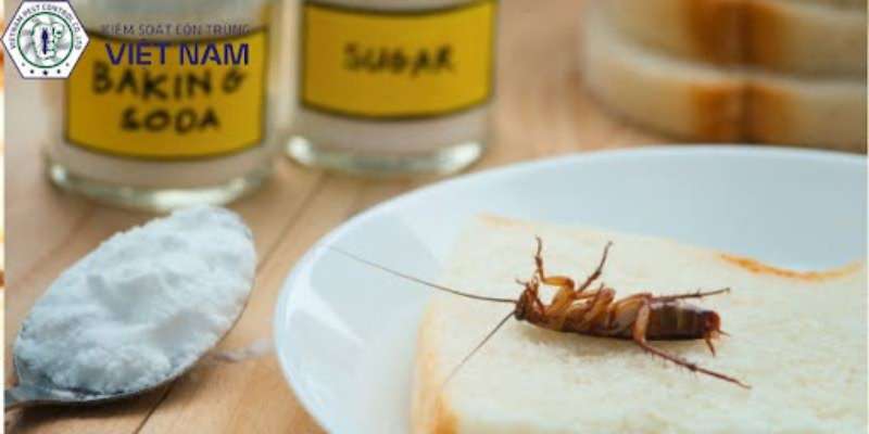 Diệt gián Đức bằng Baking soda