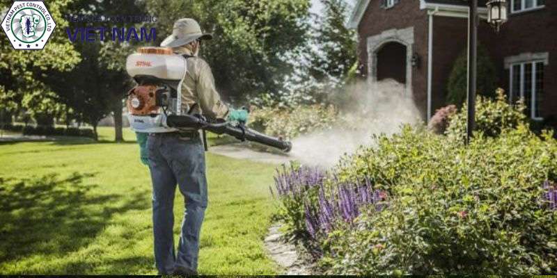 Giới thiệu các dịch vụ mà Vietnam Pest Control cung cấp