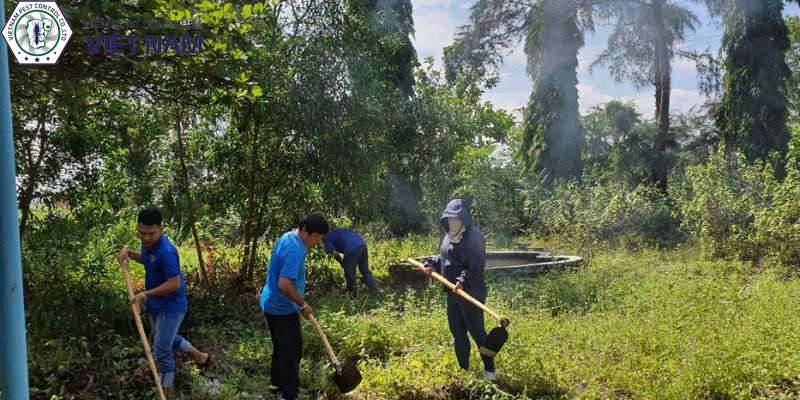 Phát quang bụi cây cho sạch sẽ, thoáng mát