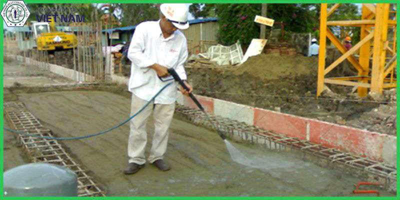 Tại sao nên sử dụng dịch vụ phòng mối công trình chuyên nghiệp?