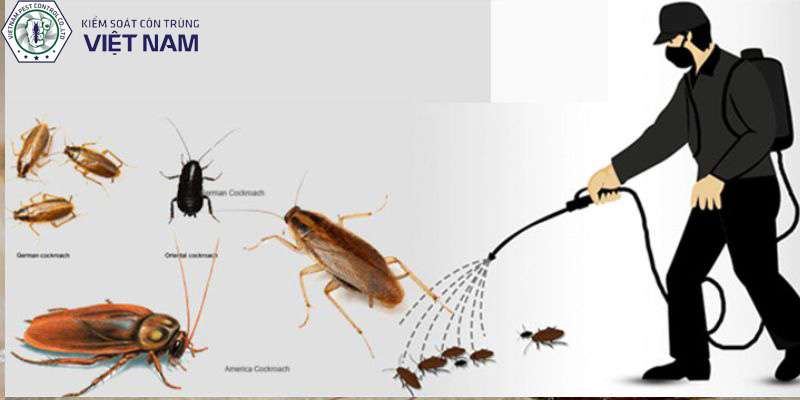 Thuốc diệt gián của Nhật Bản có ưu điểm gì nổi bật